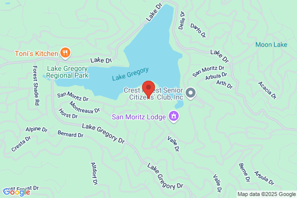 Lakeview Cruise & Travel