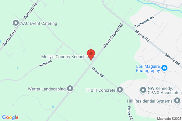 Molly's Country Kennels Inc.