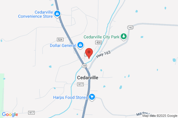 Libraries, Cedarville Public Library