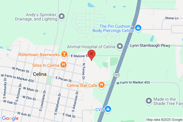 Celina Independent School District, Celina Intermediate School
