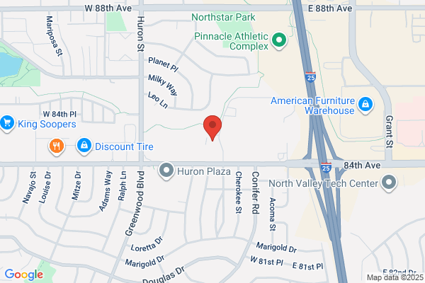 Professional Auto Dent Service Inc