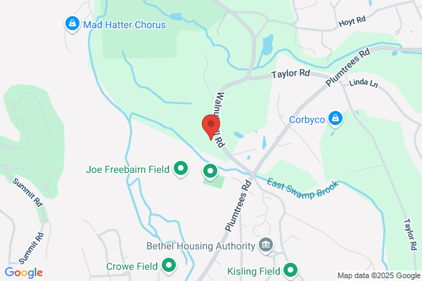 New England Tree Transplanting