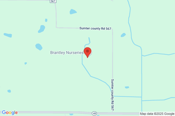 Lake Brantley Plant Corporation