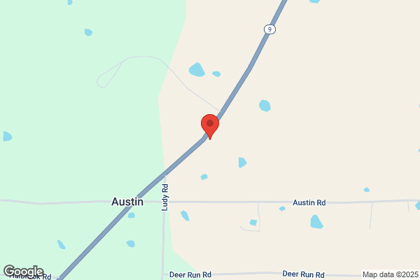 Austins Store