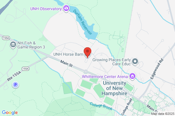 Running Horse Farm Inc