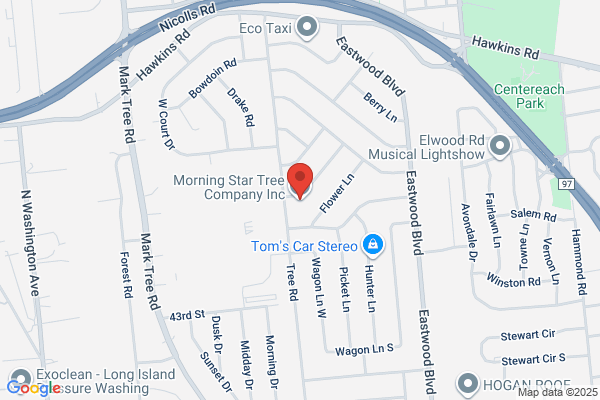 Morning Star Tree Company Inc.