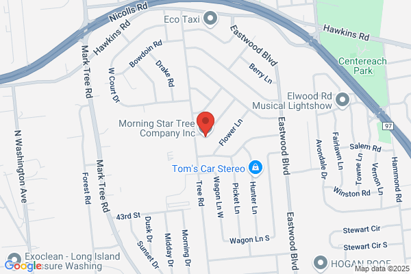 Morning Star Tree Company Inc.