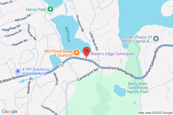 Silver Swan the