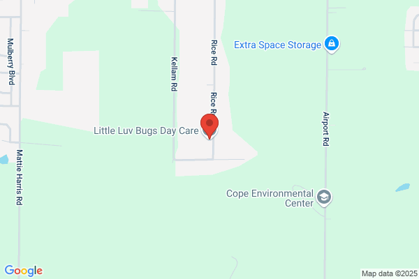 Little Luv Bugs Day Care