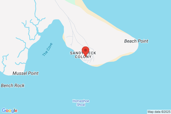 Sandy Neck Contracting