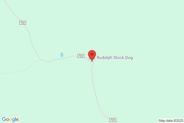 Rudolph Stock Dog