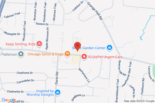 Xcel Physical Therapy