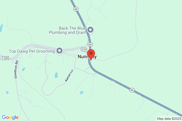 United States Government, United States Postal Service, Nunnelly