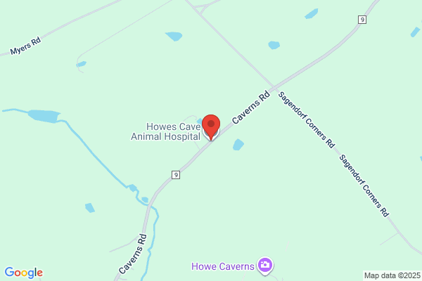 Howes Cave Animal Hospital