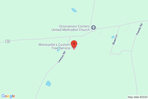 Morissette's Custom Tree Service