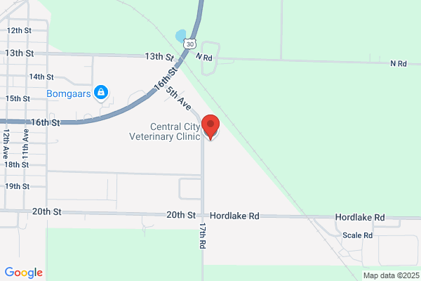 Central City Veterinary Clinic