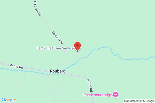 Earth First Tree Service & Thinning