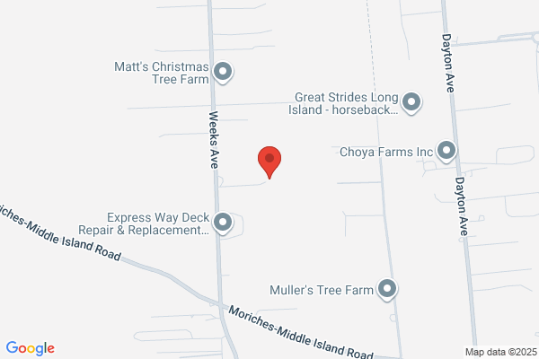 Econo-Tree Experts Inc