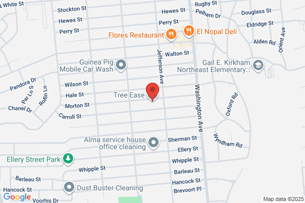 Eliseo & DB Tree Services Corp.