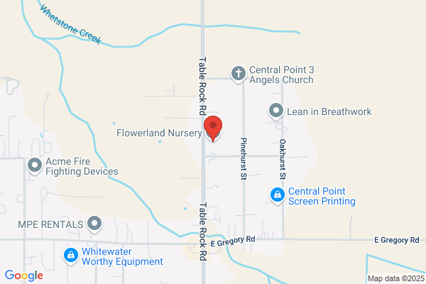 Flowerland Nursery