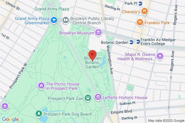 Brooklyn Garden