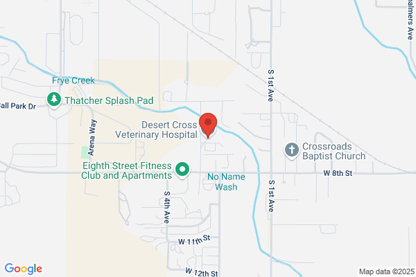 Desert Cross Veterinary Hospital