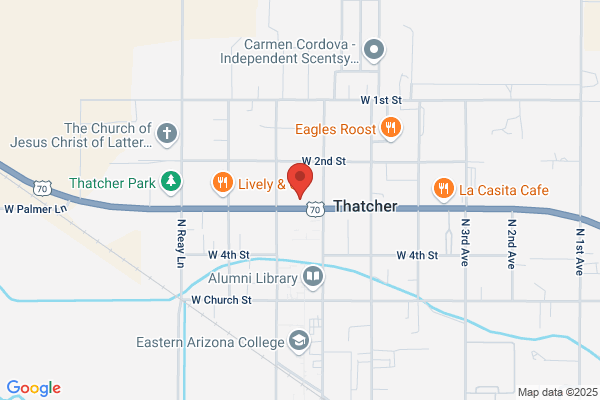 Thatcher City Government