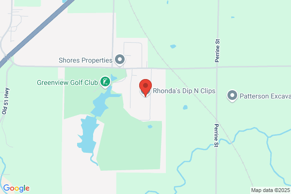 Rhondas Dip N Clips