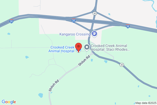Crooked Creek Animal Hospital