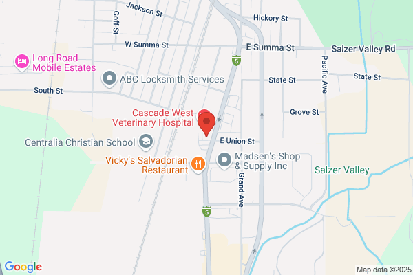 Wilson & Wilson Dentistry