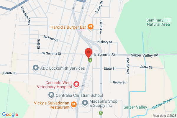 Hollywood Video