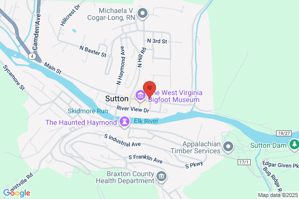 Braxton Democrat Central