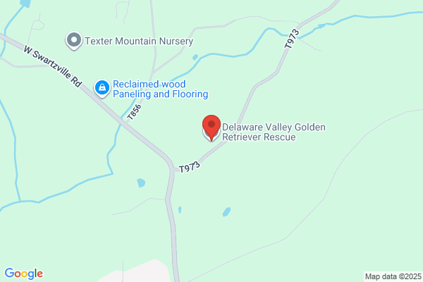 Golden Retriever Rescue of Central PA