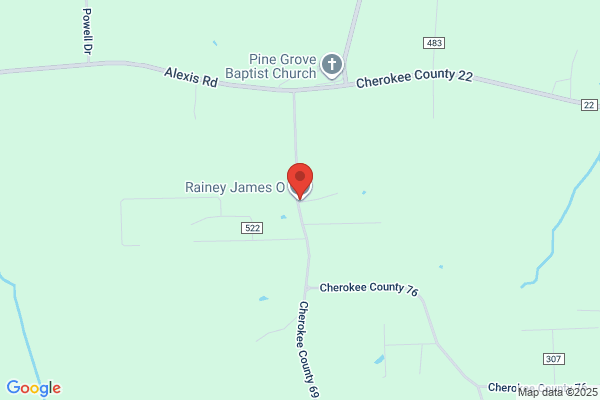 Rainey James O