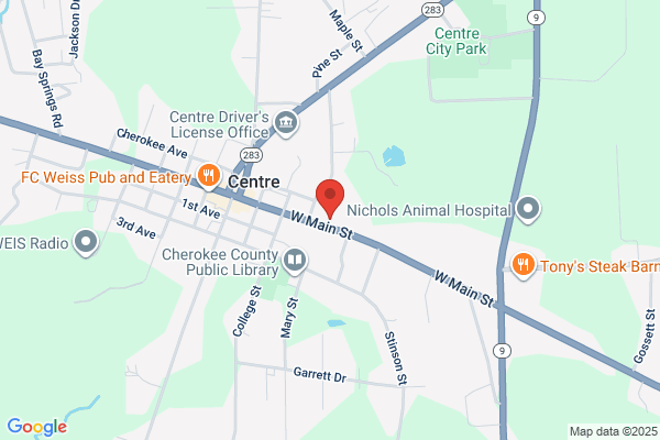 Center Fire Department