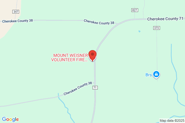 Fire Department, Aroney, Mt Weisner
