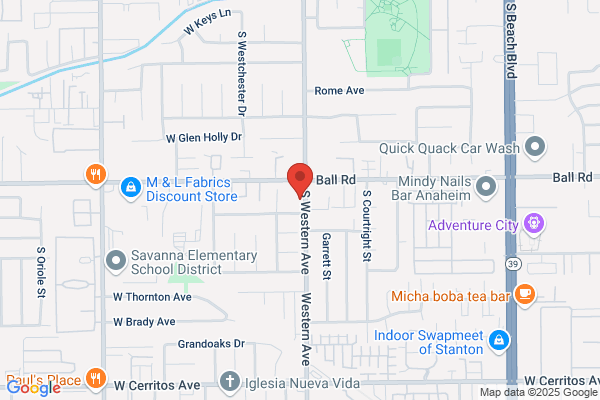 License & Registration Information, Vehicle Registration