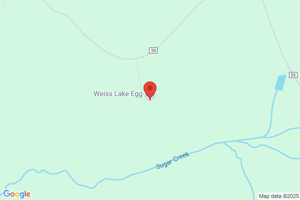 Weiss Lake Egg Co Inc