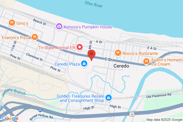 General Nutrition Centers