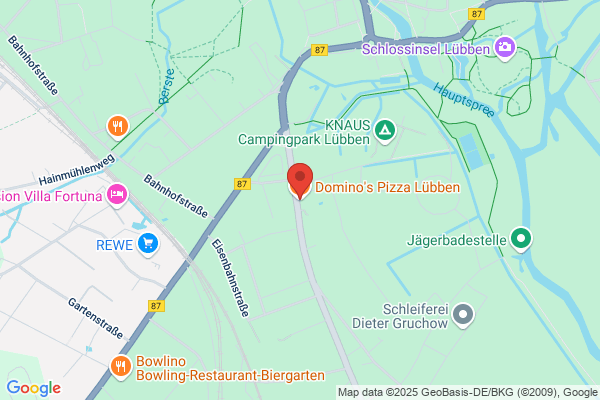 Domino's Pizza