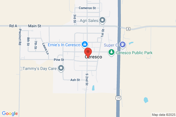 Ceresco Village, Community Library