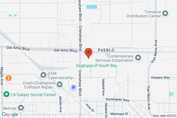 High Precision Dental