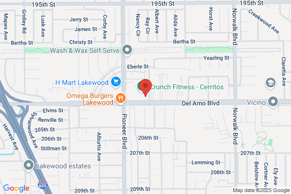 Flame Broiler the