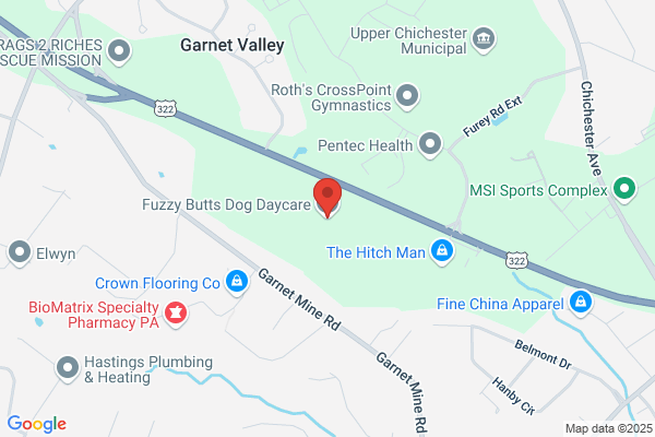 Fuzzy Butts Dog Daycare