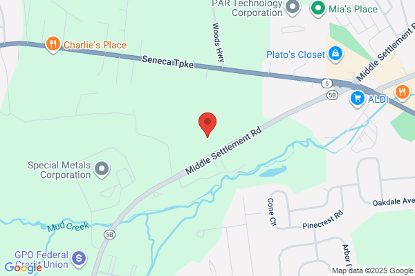 Genesee Orthopedics & Plastic Surgery Associates, PC