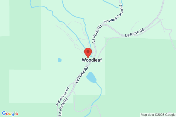 Young Life-Woodleaf