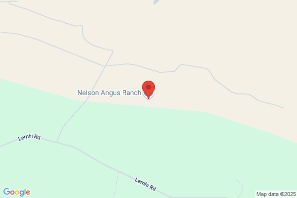 L & M Angus Ranch