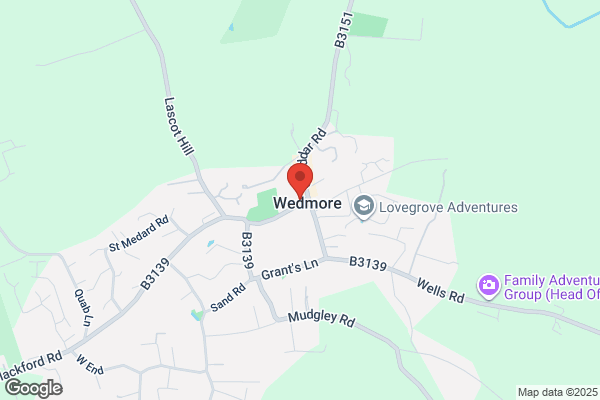 Wedmore Gifts & Flowers On Main