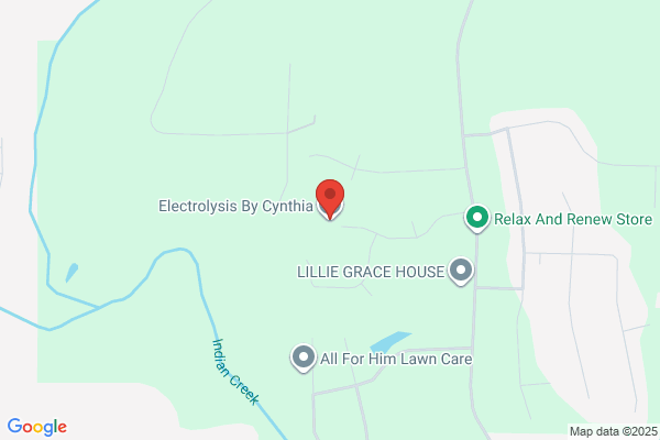 Williamson Cynthia A Electrolysis