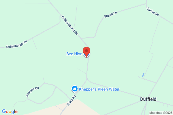 Bee Hive the